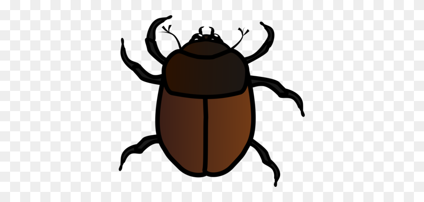 369x340 Beetle European Firebug True Bugs Drawing Nymph - Beetle PNG