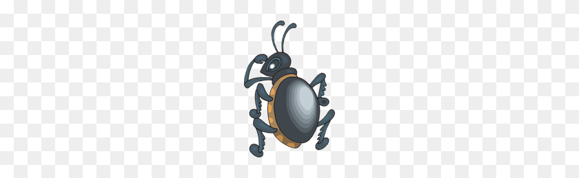 132x199 Escarabajo Mirando Por Encima Del Hombro