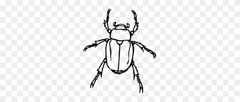 255x299 Imágenes Prediseñadas De Contorno De Escarabajo - Imágenes Prediseñadas De Escarabajo