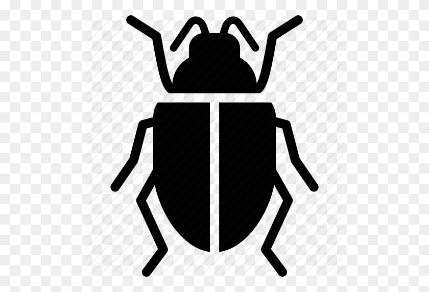 512x512 Beetle, Scarab, Scarabaeus Icon - Scarab Beetle Clipart