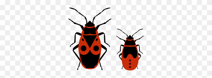 300x249 Imágenes Prediseñadas De Escarabajos - Imágenes Prediseñadas De Escarabajo