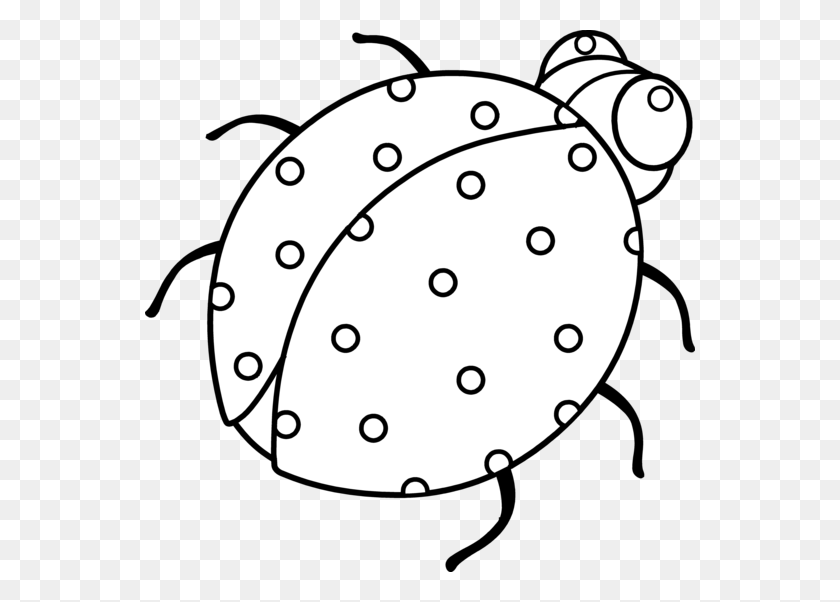 550x542 Beetles Clipart Black And White - Ladybug Clipart Black And White