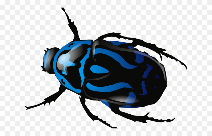 640x480 Imágenes Prediseñadas De Escarabajos - Volkswagen Beetle Clipart