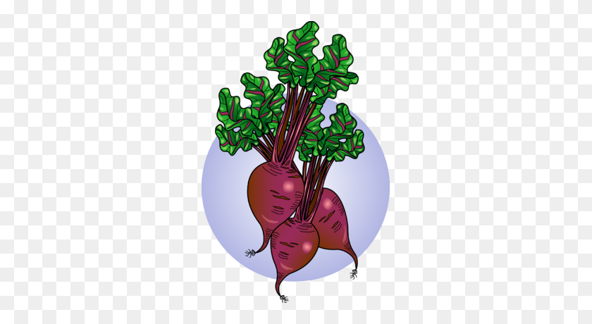 267x400 Beetroot Clipart Plant - Plant With Roots Clipart