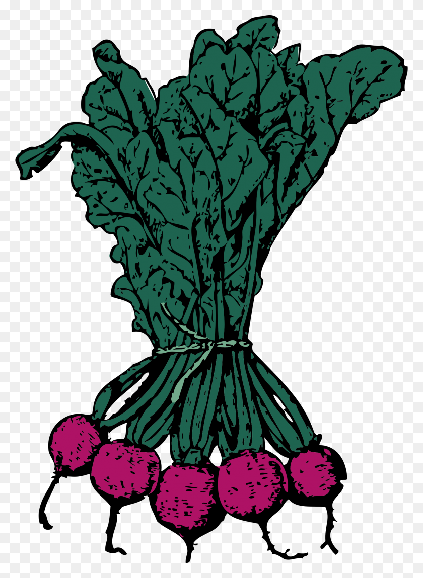 1718x2400 Beets Icons Png - Beet PNG