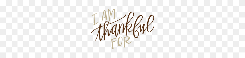 217x139 Being Thankful Is More Than A Passing Thought - Thankful PNG