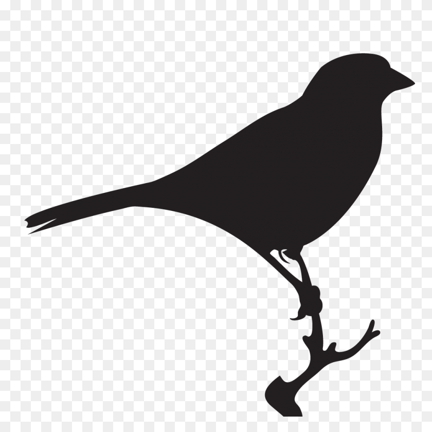 1024x1024 Descripción General De Bell's Sparrow, Todo Sobre Las Aves, Laboratorio De Ornitología De Cornell - Youtube Bell Png