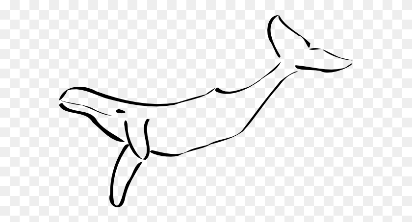 600x393 Beluga Whale Clipart - Beluga Whale Clipart