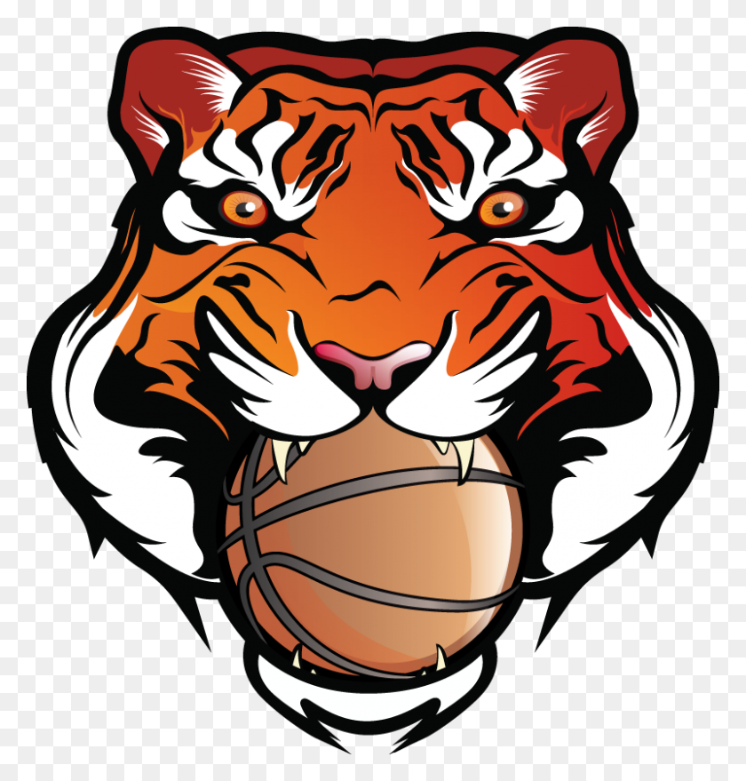 800x840 Bengal Clipart Basketball - Basketball Logo Clipart