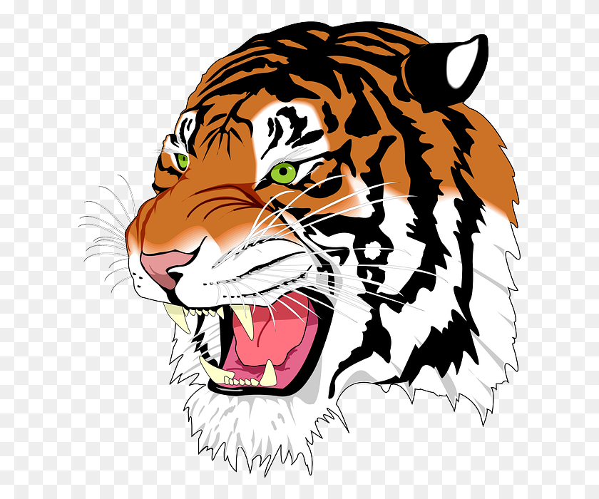 621x640 Бенгальский Клипарт Harimau - Lsu Tiger Clipart