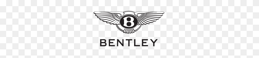 300x128 Bentley Case Study Panel Graphic - Bentley Logo PNG