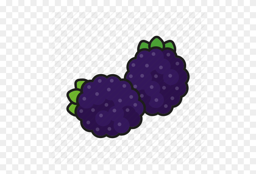 512x512 Berries, Blackberry, Brambleberry, Food, Fresh, Fruit Icon - Berries PNG