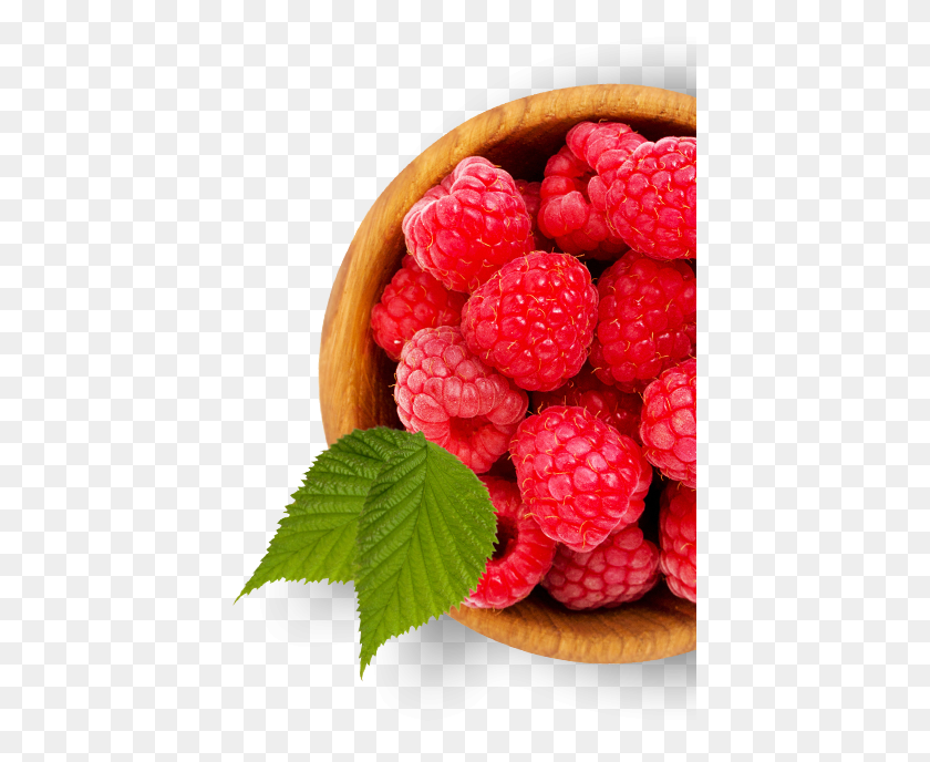 419x628 Berries Little Graces - Berries PNG