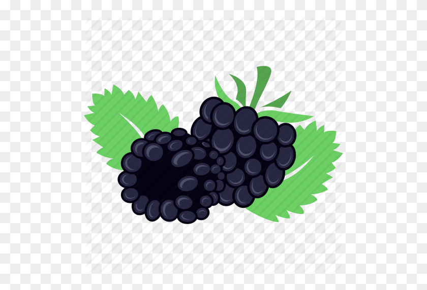 512x512 Berry, Blackberry, Fruit, Fruits Icon - Blackberry PNG