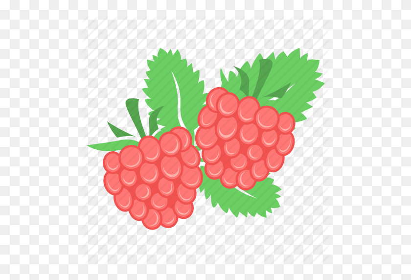 512x512 Berry, Food, Fruit, Raspberries, Raspberry Icon - Raspberries PNG