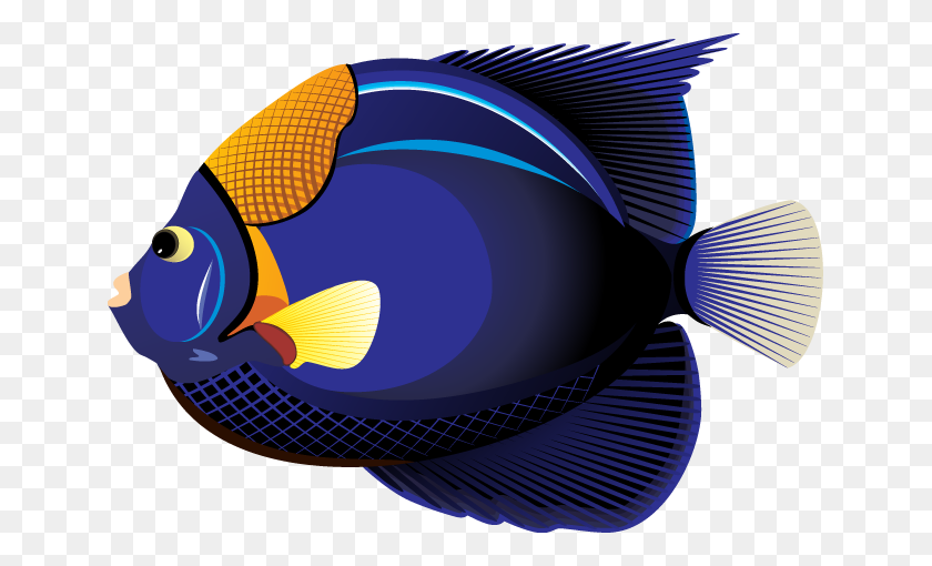645x450 Лучший Клипарт Синяя Рыбка - Бесплатные Изображения Microsoft