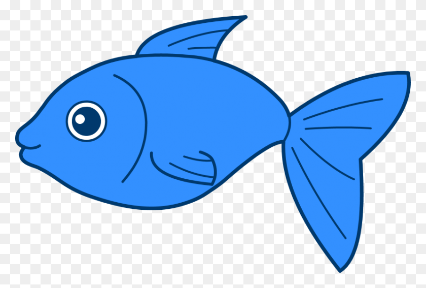 830x540 Best Blue Fish Clipart - Fish Outline Clipart
