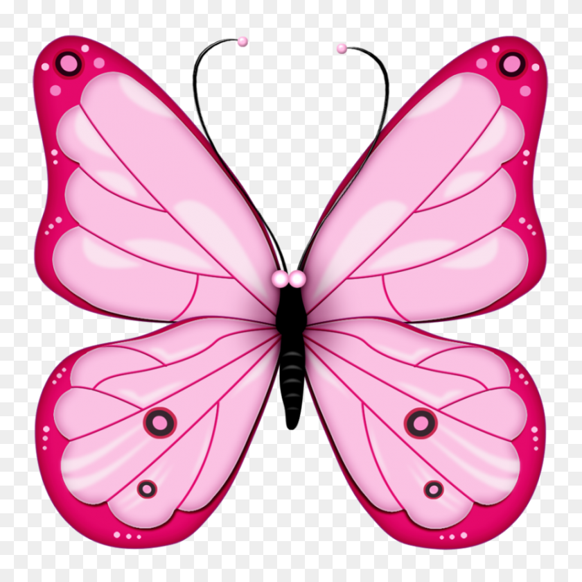 830x829 Best Butterfly Clipart - Butterfly Clipart Black And White Outline