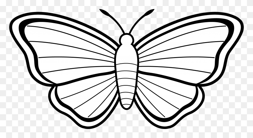 6978x3573 Best Butterfly Clipart Black And White - Free Insect Clipart