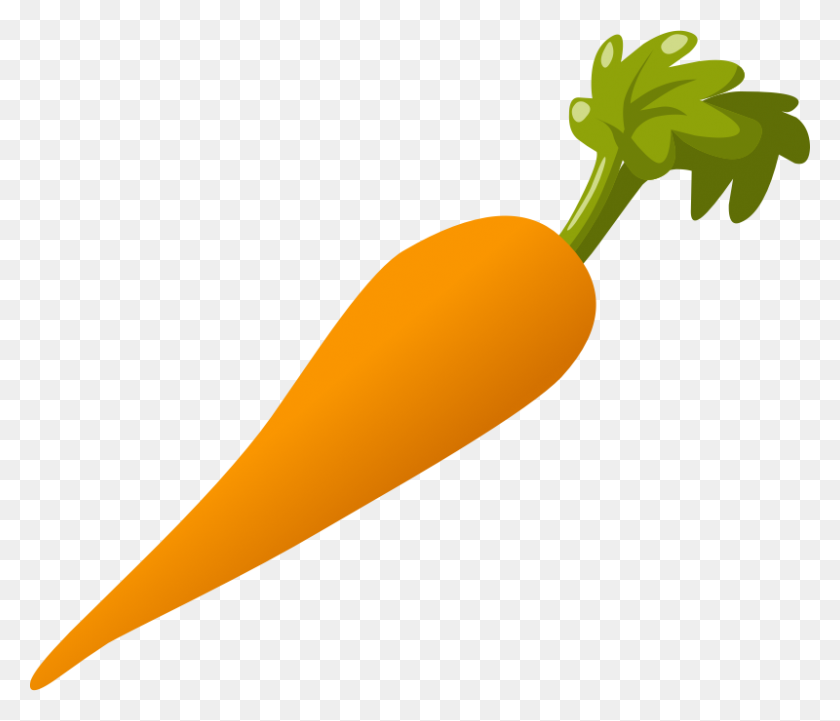 800x678 Best Carrot Clipart - Vegetable Border Clipart