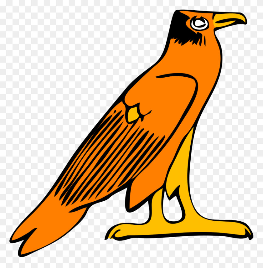 830x848 Best Falcon Clip Art - Hawk Clipart