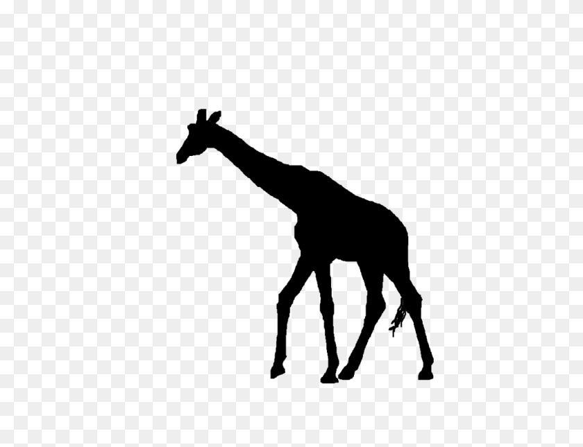 1024x768 Лучший Силуэт Жирафа - Черно-Белый Клипарт С Жирафом