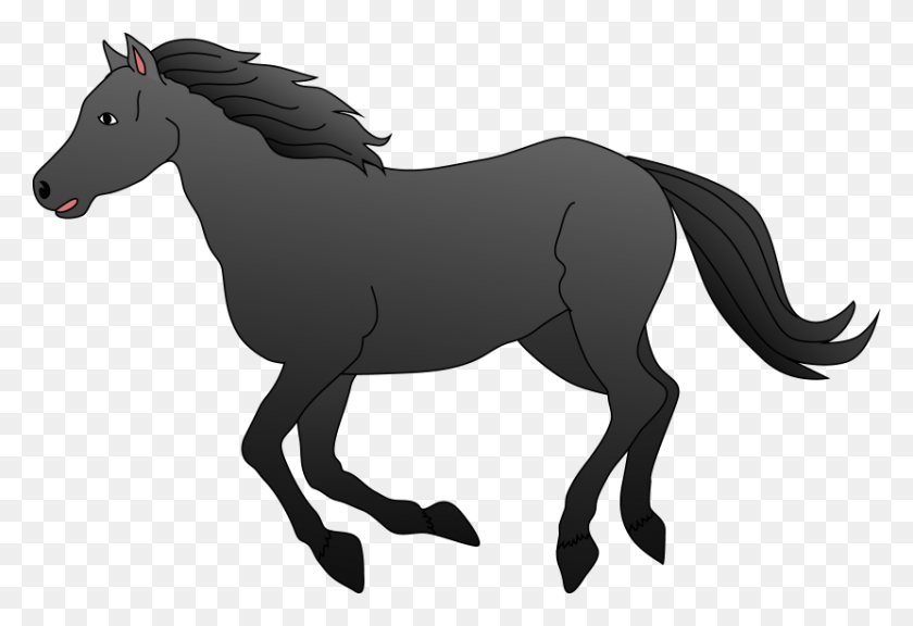 830x550 Best Horse Clipart - Horses Clipart Black And White