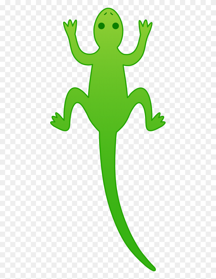 449x1024 Best Lizard Clipart - Salamander Clipart