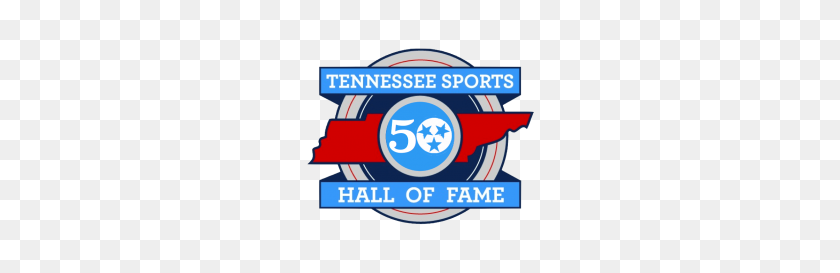 300x213 Best Photos Of Super Bowl Tennessee Sports Hall Of Fame - Super Bowl 50 PNG