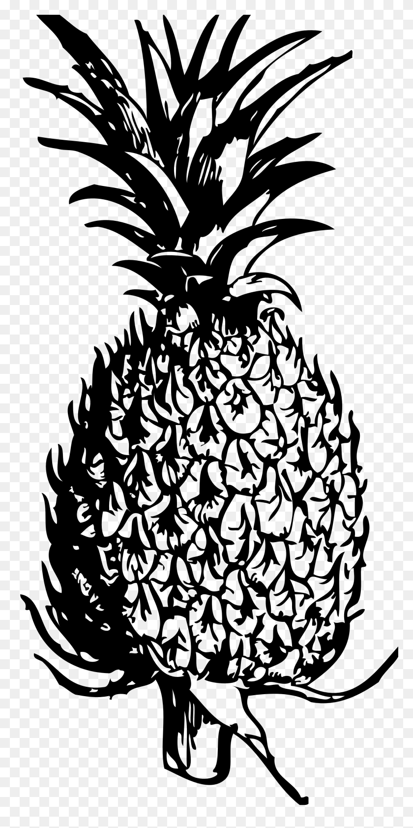 1979x4118 Best Pineapple Clipart - Pineapple Black And White Clipart