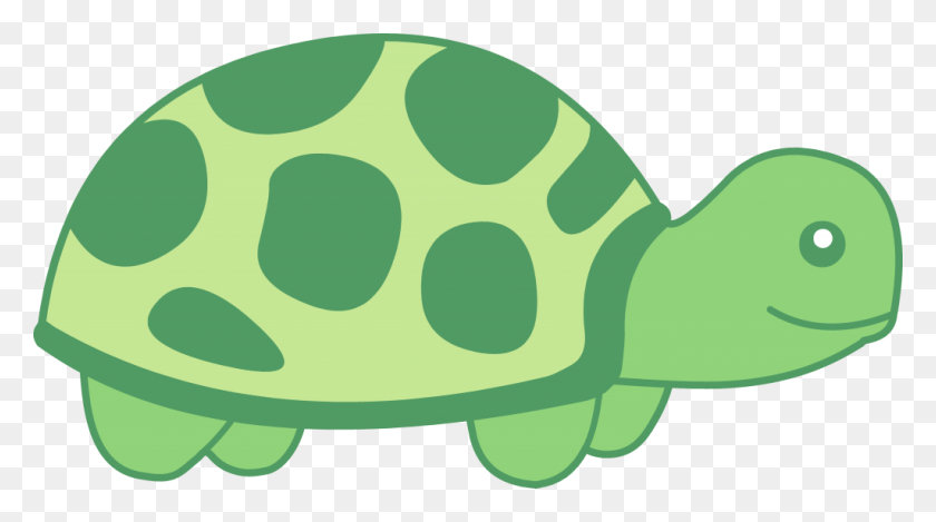 1024x538 Best Turtle Clipart - Tortoise Clipart Black And White