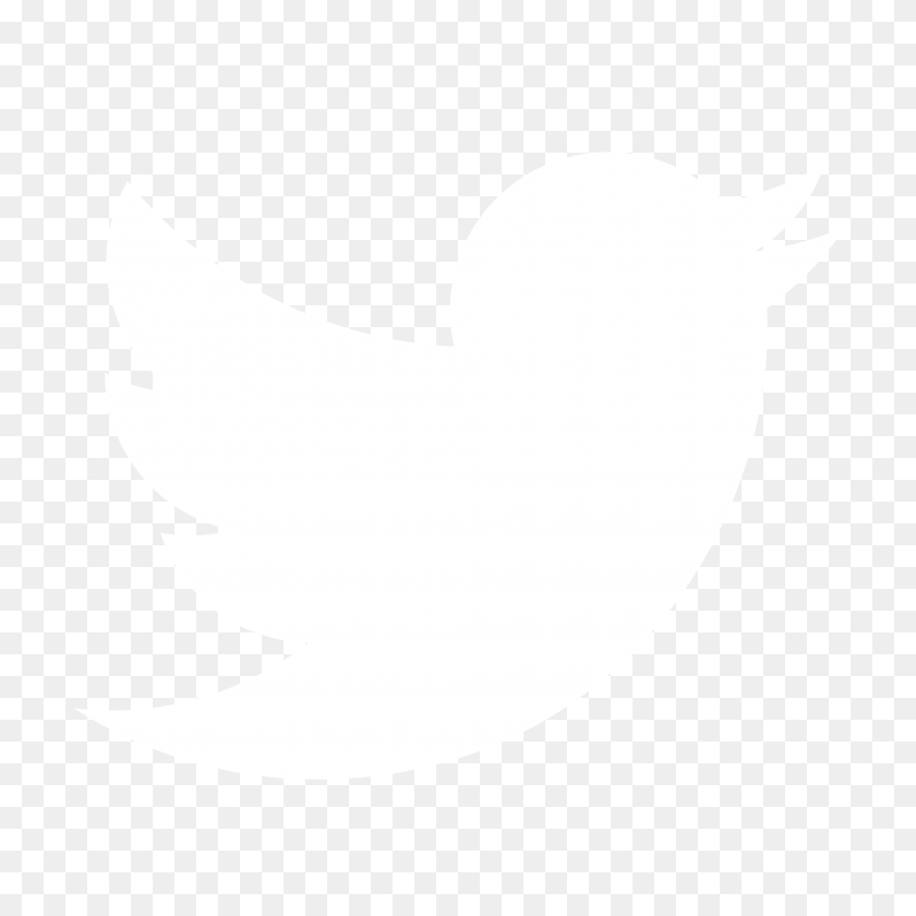 1982x1982 Лучший Прозрачный Фон Twitter На Hipwallpaper Полу - Черный Логотип Twitter Png