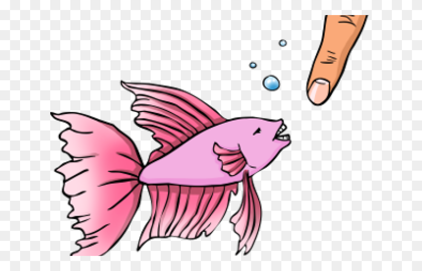 640x480 Betta Clipart Fancy Fish - Betta Fish Clipart