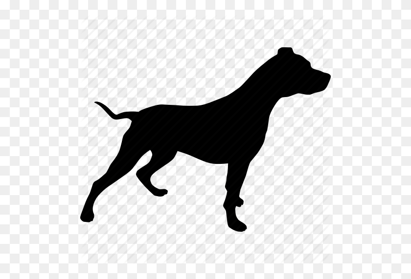 512x512 Beware, Bull, Canine, Dog, Pet, Pit, Pitbull Icon - Pitbull PNG