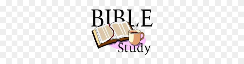 216x161 Bible Study - Bible Study PNG