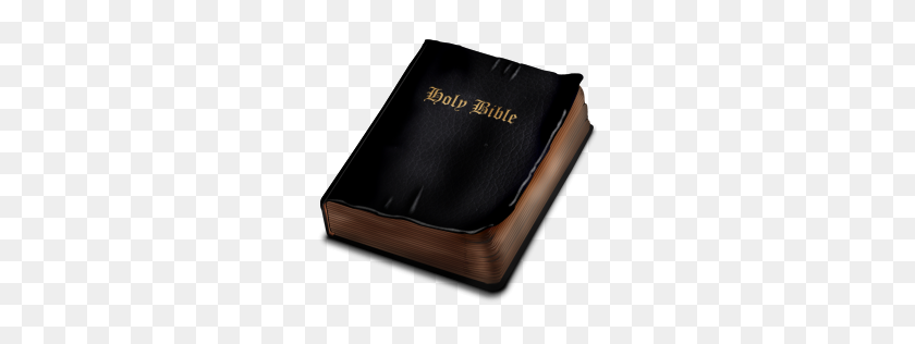 256x256 Bible Transparent Png Pictures - Bible PNG