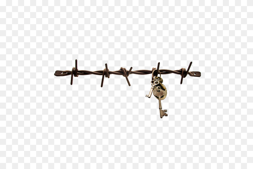 500x500 Big Barb Wire Key And Jewelry Holder Big Barb Wire - Barbed Wire Fence PNG