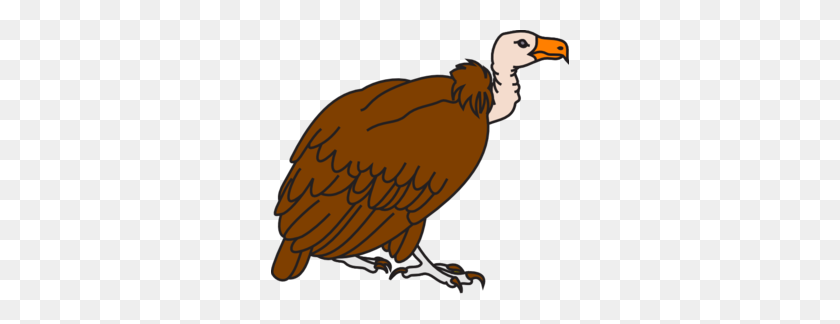 298x264 Big Brown Vulture Clip Art - Vulture PNG