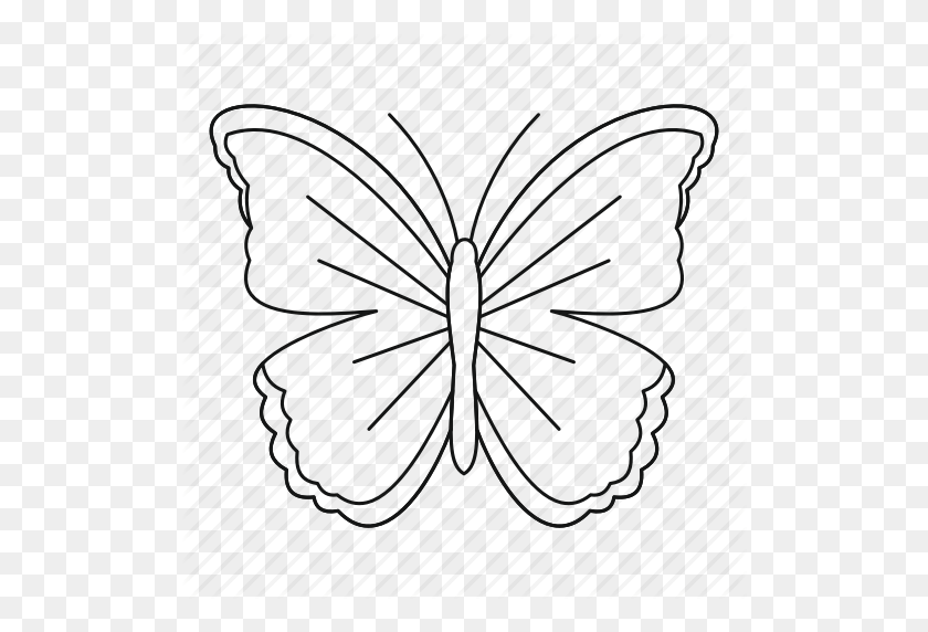 512x512 Big Butterfly, Bug, Fly, Moth, Outline, Spring, Tattoo Icon - Butterfly Outline PNG
