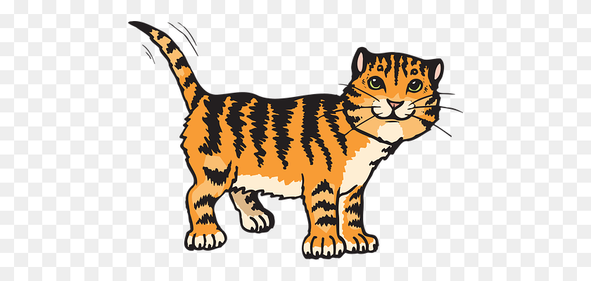 476x340 Клипарт Большая Кошка Плотоядное Животное - Клипарт Сумасшедший Кот