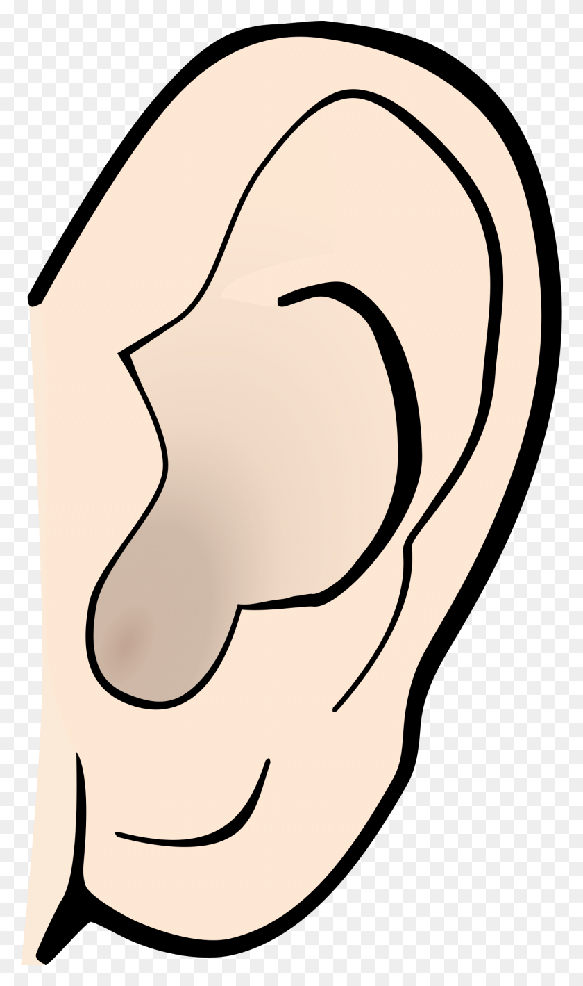 1377x2400 Big Ear Cliparts - Big Head Clipart