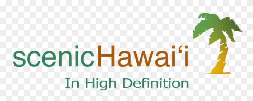 1000x355 Большой Остров Гавайи Scenichawaii - Гавайские Острова Png