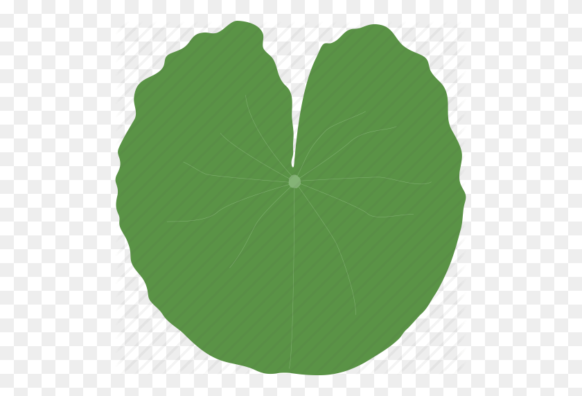 507x512 Big, Jungle, Leaf, Leaves, Plant, Tropical, Water Icon - Tropical Leaves PNG