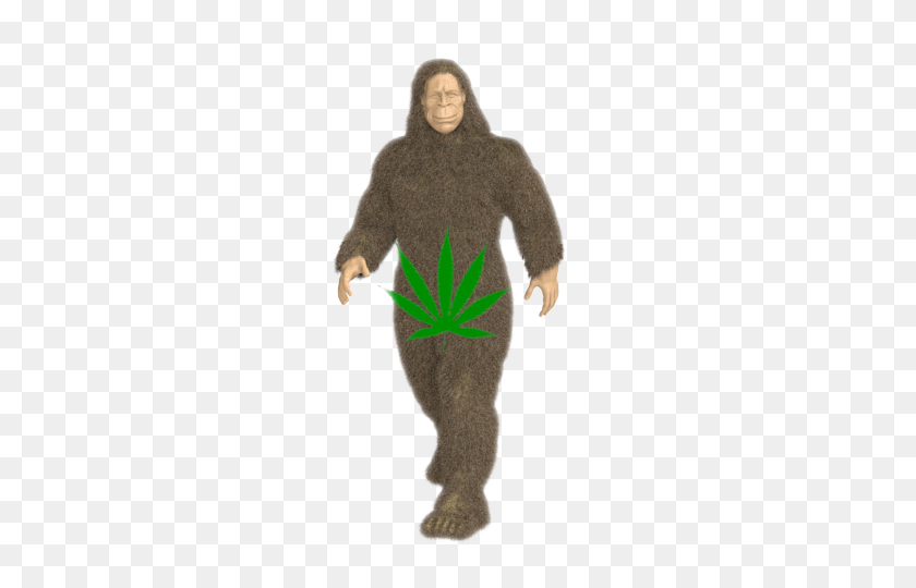 720x480 Bigfoot Modeling For Product Logo Canna Oils - Bigfoot PNG
