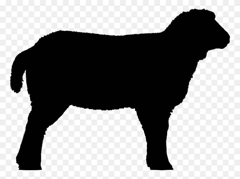 770x568 Bighorn Sheep Lamb And Mutton Clip Art - Black Sheep Clipart