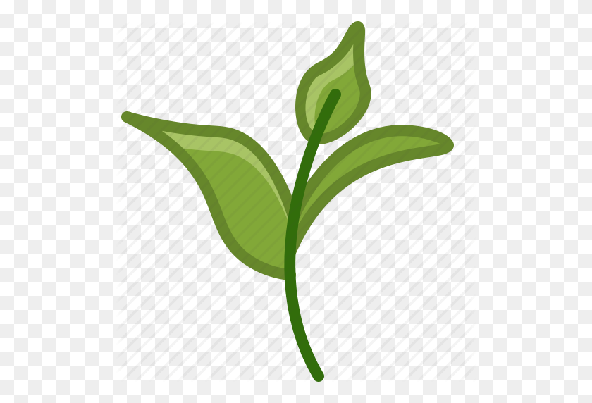 512x512 Bio, Ecology, Leaves, Nature, Tea, Tearoom, Yumminky Icon - Tea Leaves PNG