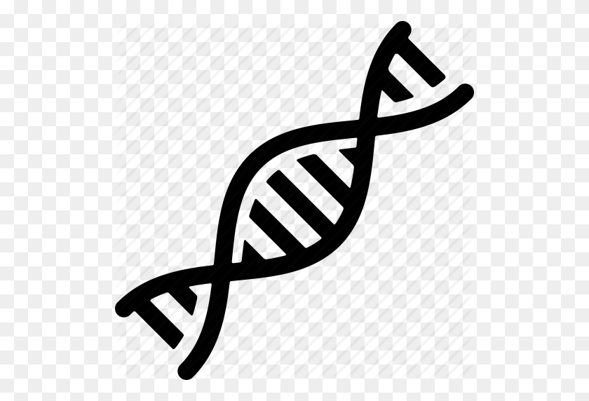 512x512 Bioquímica, Adn, Genética, Genoma, Hélice, Investigación, Icono De Hebra - Hebra De Adn Png