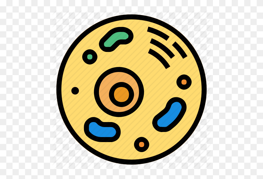 512x512 Biology, Cell, Virus Icon - Biology PNG