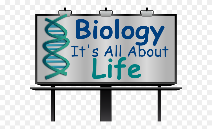 600x454 Biology Clip Art - Billboard Clipart