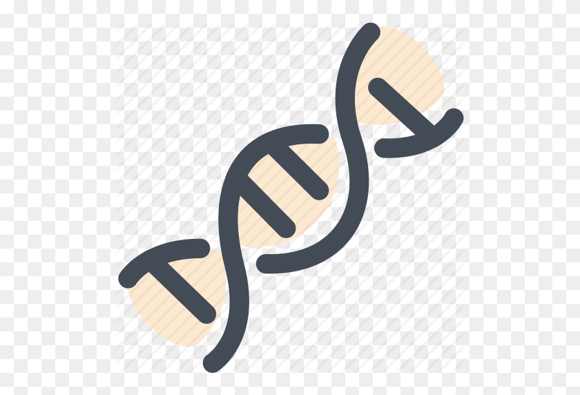 512x512 Biology, Dna, Double Helix, Genetics, Medical, Science Icon - Dna Helix PNG